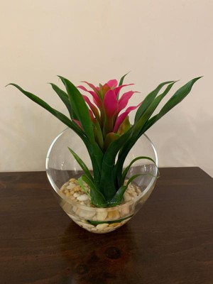 X Artificial Tropical Bromeliad In Angled Glass Vase Purple Nearly Natural Target