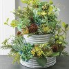 Sullivans Artificial Echeveria Succulent 6.5"H Green - 2 of 2