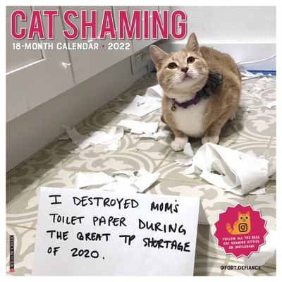 2022 Wall Calendar Cat Shaming - Willow Creek Press