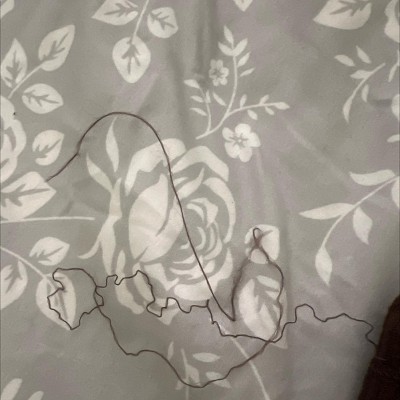 Guest review image 1 of 3, zoom in