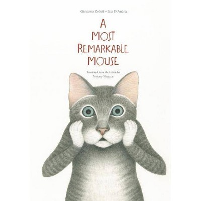 A Most Mysterious Mouse - by  Giovanna Zoboli (Hardcover)