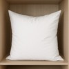 HomeRoots 22" White Cotton Down Blend Throw Pillow Insert - 2 of 4