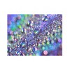 Beata Czyzowska Young 'Colours Of The Rainbow' Multi Panel Art Set Small 3 Piece - 2 of 4