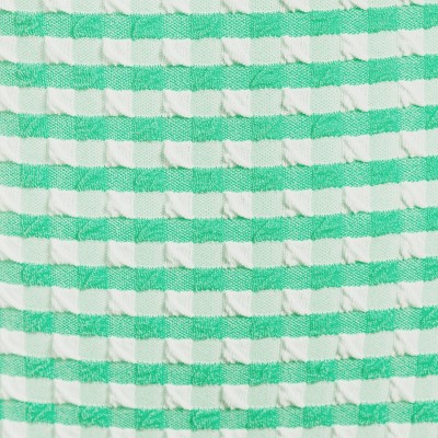 wintergreen/white gingham