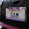 Tarleton State University Alumni Logo Full Size Standard License Plate Metal Frame - 3 of 4