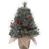 Acekool 2ft Mini Tabletop Tree - Pre-Lit LED Decor with Pinecone Accents - 2 of 4