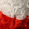18" Patriotic Rose Wreath - National Tree Company - 4 of 4