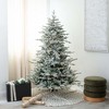 Nearly Natural 6-ft Pre-Lit Artificial Fraser Fir Flocked Christmas Tree with Instant Connect Technology and 280 Warm White LED Lights - 4 of 4