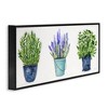 Stupell Industries Varied Potted Plants & Herbs, 24" x 10" - 3 of 4