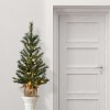 National Tree Company 3 ft. Frosted Ontario Pine Tree with Battery Operated Lights - 2 of 4