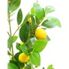 5FT Artificial Lemon Trees Indoor, Faux Planter, Artificial Fake Tree Flower Potted, Artificial Plants for Home Office Wedding Party Gifts - 2 of 4