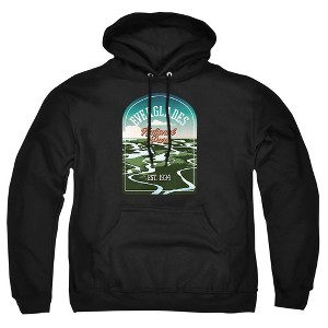 Men's Everglades National Park Illustrated Landscape Pull-Over Hoodie - 1 of 4