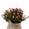 Unique Bargains Artificial Plants Baby's Breath in Pot Plastic 3.94"x3.94"x7.09" 1 Pc - 4 of 4