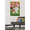 Trends International Keith Kimberlin - Maine Coon Kitten Unframed Wall Poster Prints - 2 of 4