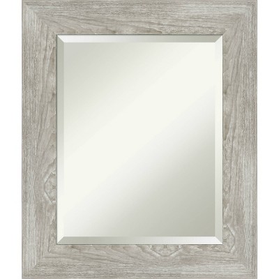 22" x 26" Dove Framed Wall Mirror Graywash - Amanti Art