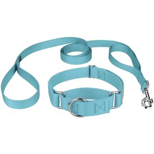 Country Brook Design Martingale Heavyduty Nylon Dog Collar and Double Handle Leash - 1 of 4