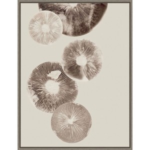 Amanti Art Mushroom 6 Light Brown by Pernille Folcarelli Canvas Wall Art Print Framed 18 x 24-in. - 1 of 4