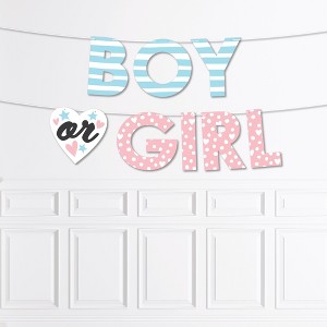 Big Dot of Happiness Baby Gender Reveal - Team Boy or Girl Party Decorations - Boy or Girl - Outdoor Letter Banner - 1 of 4