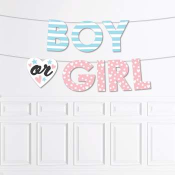 Big Dot of Happiness Baby Gender Reveal - Team Boy or Girl Party Decorations - Boy or Girl - Outdoor Letter Banner
