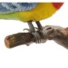 AZ  Import Chirping & Dancing Bird With Motion Sensor - 3 of 4