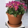 Bloem Terra Round Plastic Saucer Tray for Planters - 4 of 4