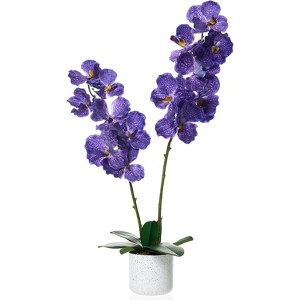 1/2 Pc Artificial Magnolia & Orchid Trees in Pot, PEVA Polyester Faux Plants with White Planter, 24/31/37" for Home Office Decor - 1 of 4