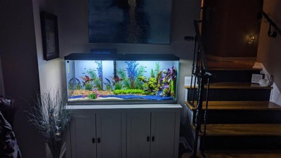 Target fish 2024 tank stand