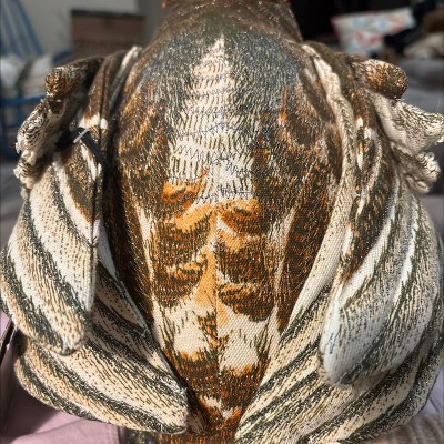 Guest review image 4 of 6, zoom in