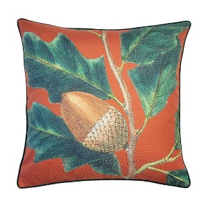 20"x20" Oversize NYBG Sylva Acorn Square Throw Pillow Cover Rust: Velvet Reverse, Zipper Closure - New York Botanical Garden - 1 of 4