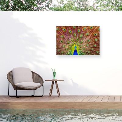 Trademark Fine Art - Michael Peacock Matted Framed Art