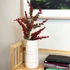Sullivans Artificial 27.5" Cedar Berry Stem, Multicolor - 4 of 4