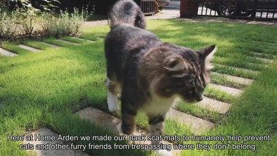 Homarden Black 16" x 13" Plastic Cat Repellent Scat Mat Set