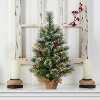 2ft. Snow Tipped Pine & Berry Artificial Christmas Tree with 35 Warm White LED Lights in Burlap Base – Rustic X-Mas Accent - 4 of 4