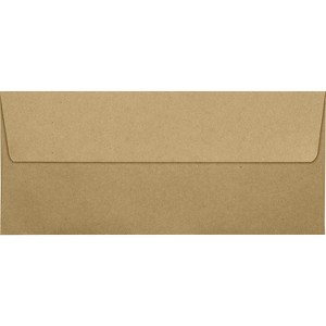 LUX #10 Square Flap Envelopes (4 1/8 x 9 1/2) 50/Pack Grocery Bag (4860-GB-50) - 1 of 1