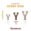 Benebone Wishbone Pumpkin Spice Dog Bone Chew Toy - M - 4 of 4