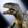 Jurassic World Hammond Collection Giganotosaurus Action Figure : Target