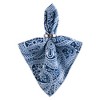 Design Imports Blue Paisley Print Outdoor Napkin Set/6 - 2 of 4