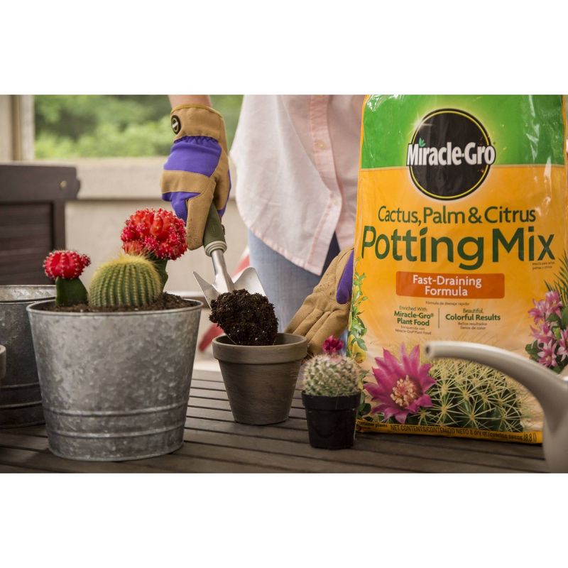 Miracle-Gro Cactus Palm Citrus Potting Soil - 8qt, 3 of 9