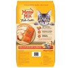 Meow Mix Tender Centers with Flavors of Salmon & Chicken Adult Complete & Balanced Dry Cat Food - image 3 of 4