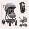 Convertible Baby Stroller, 2 in 1 Foldable Pushchair for Newborn, High Landscape Bassinet Pram, Adjustable Canopy, 5-Point Harness for Toddler - 3 of 4