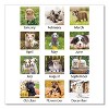 Puppies Monthly Desk Pad Calendar, Puppies Photography, 22 x 17, White Sheets, Clear Corners, 12-Month (Jan to Dec): 2026 - 3 of 4
