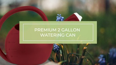 Terra Cotta 2-Gallon Large Mouth Plastic Garden Watering Can