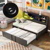 Whisen Metal Twin Size Daybed with Twin Size Trundle, Storage Shelves and USB Ports - 2 of 4