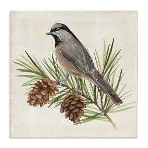 Stupell Industries Bird on Pine Tree, 24" x 24" - 1 of 4