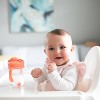 Dr. Brown's Milestones 9 fl oz Baby's First Straw Cup - 3 of 4