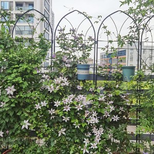 MAYEERTY 2 Pack Metal Garden Trellis Rustproof Climbing Plants Support Brown Outdoor Flower - 1 of 4