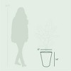Bloem 14" Tall Finley Tapered Round Planter, Casper White - 3 of 4