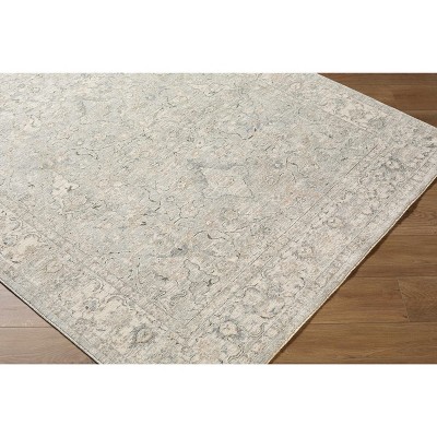 Hauteloom Brynja Living Room, Bedroom Area Rug - Traditional