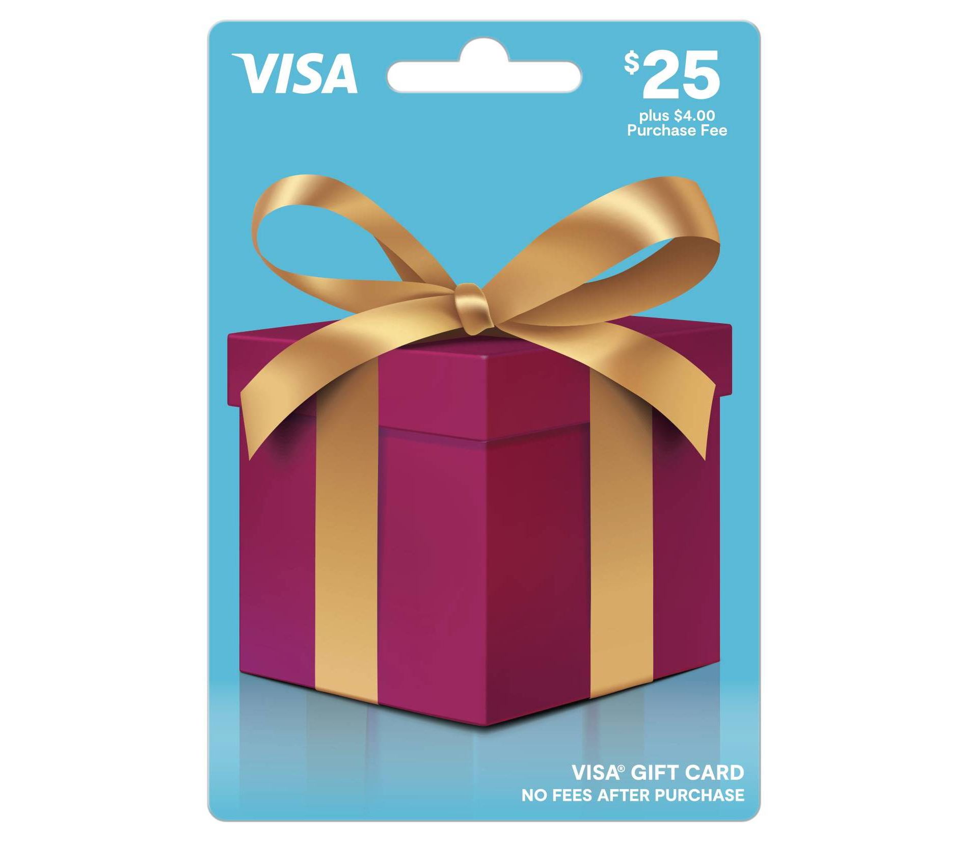 Visa Gift Card - $25 + 4 Fee