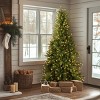 National Tree Company Dunhill Fir Artificial Christmas Tree - 2 of 4
